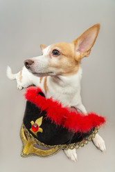 Similar image 21381042