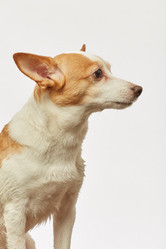 Similar image 21381044