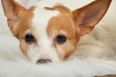 Similar image 21381048