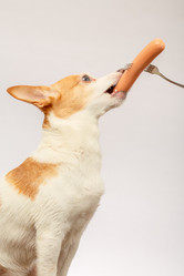 Similar image 21381050