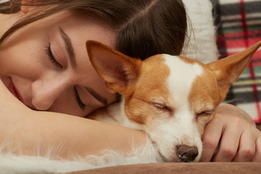 Similar image 21381166