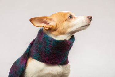 Similar image 21381168