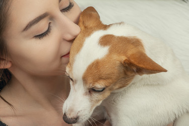 Similar image 21381170