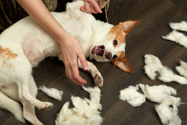 Similar image 21381176