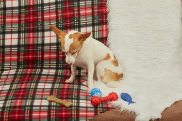 Similar image 21381180