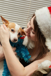 Similar image 21381182