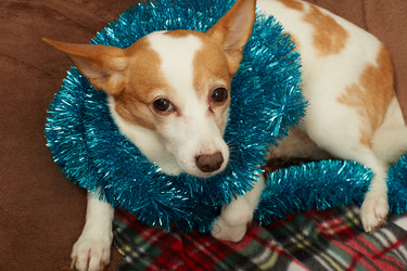 Similar image 21381184