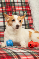 Similar image 21381293