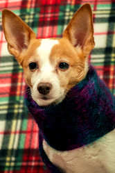 Similar image 21381295