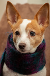 Similar image 21381302