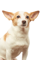 Similar image 21381432