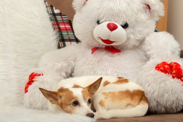 Similar image 21381435