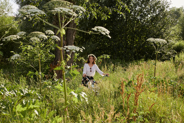 Similar image 21381068