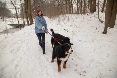 Similar image 21380944