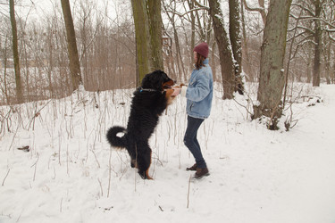 Similar image 21380945