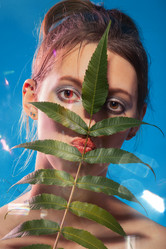 Similar image 21381371