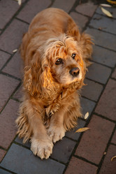 Similar image 21381576