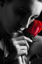 Similar image 21380958