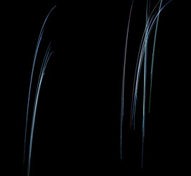 Similar image 21348754