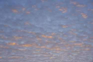 Similar image 21344099