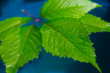 Similar image 21371042