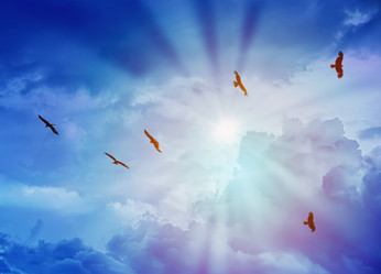 Similar image 21370608