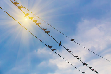 Similar image 21370835