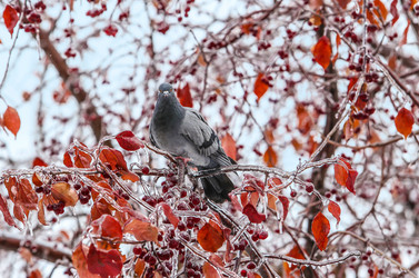 Similar image 21350707