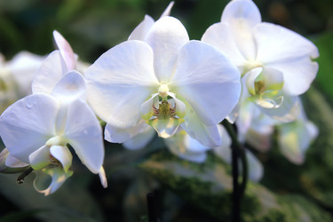 Similar image 21350129