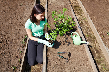 Similar image 21355486