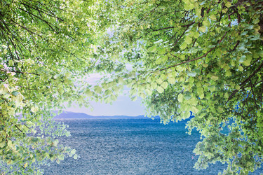 Similar image 21350513