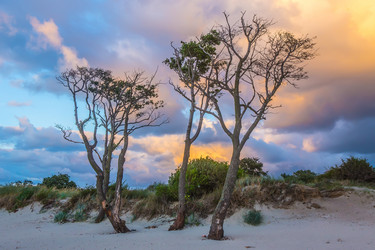 Similar image 21368960