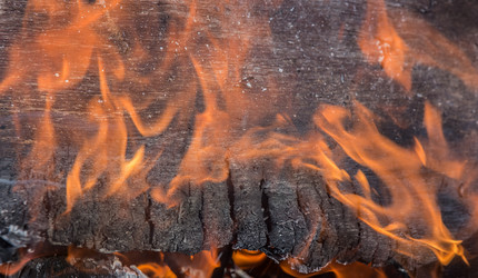 Similar image 21370854