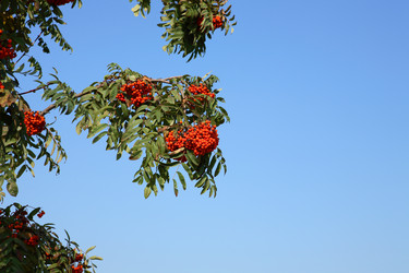 Similar image 21343393