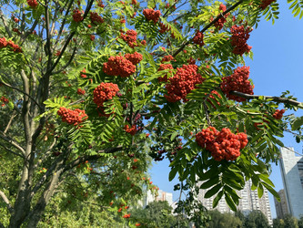 Similar image 21348807