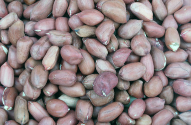 Similar image 21348812