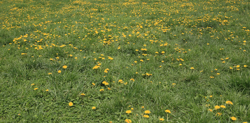 Similar image 21348814