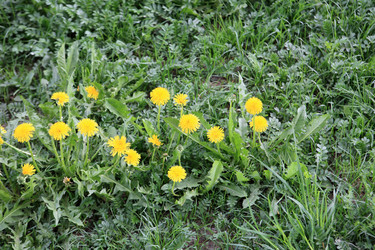 Similar image 21349744