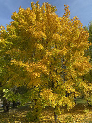 Similar image 21348823