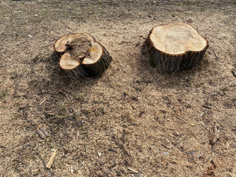 Similar image 21348826