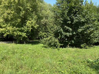 Similar image 21349755