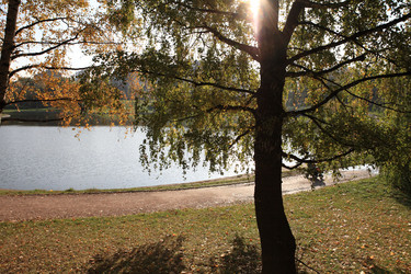 Similar image 21349756