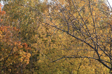 Similar image 21349775