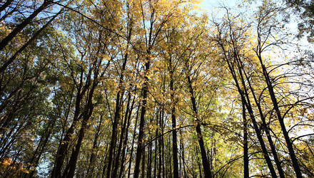 Similar image 21351462