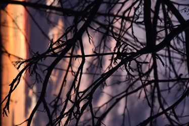 Similar image 21366086