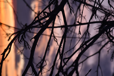 Similar image 21366087