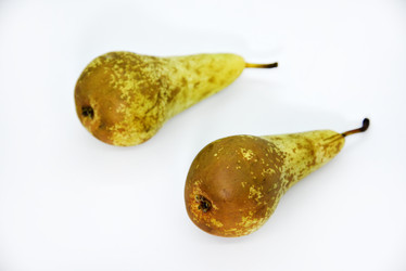 Similar image 21353501