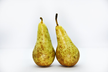 Similar image 21366186