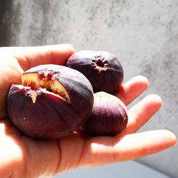 Similar image 21374847