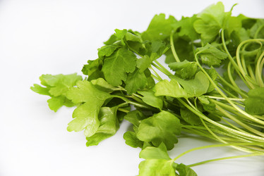 Similar image 21343766